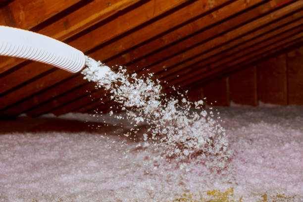 Best Insulation Removal  in Cincinnati, OH