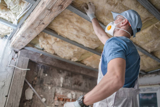 Best Home Insulation Services  in Cincinnati, OH